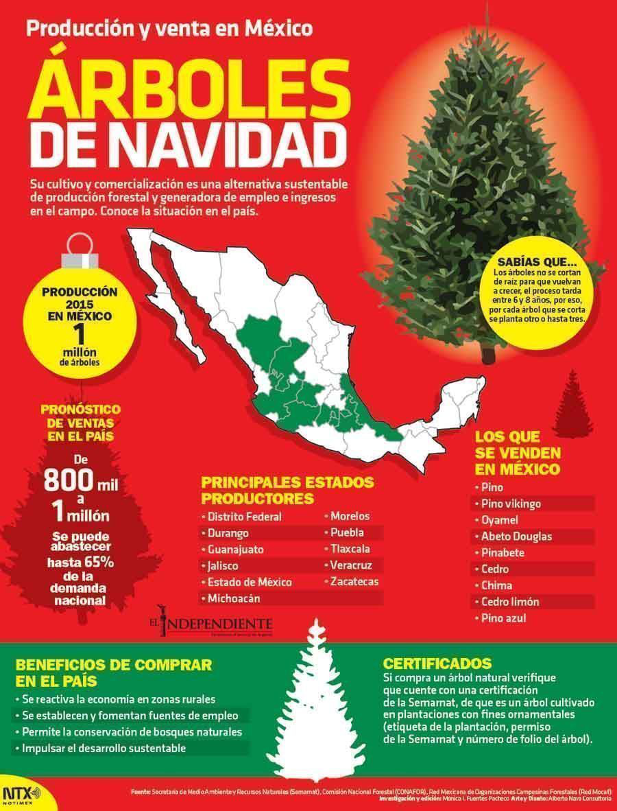 Produccion y venta en mexico arboles de navidad
