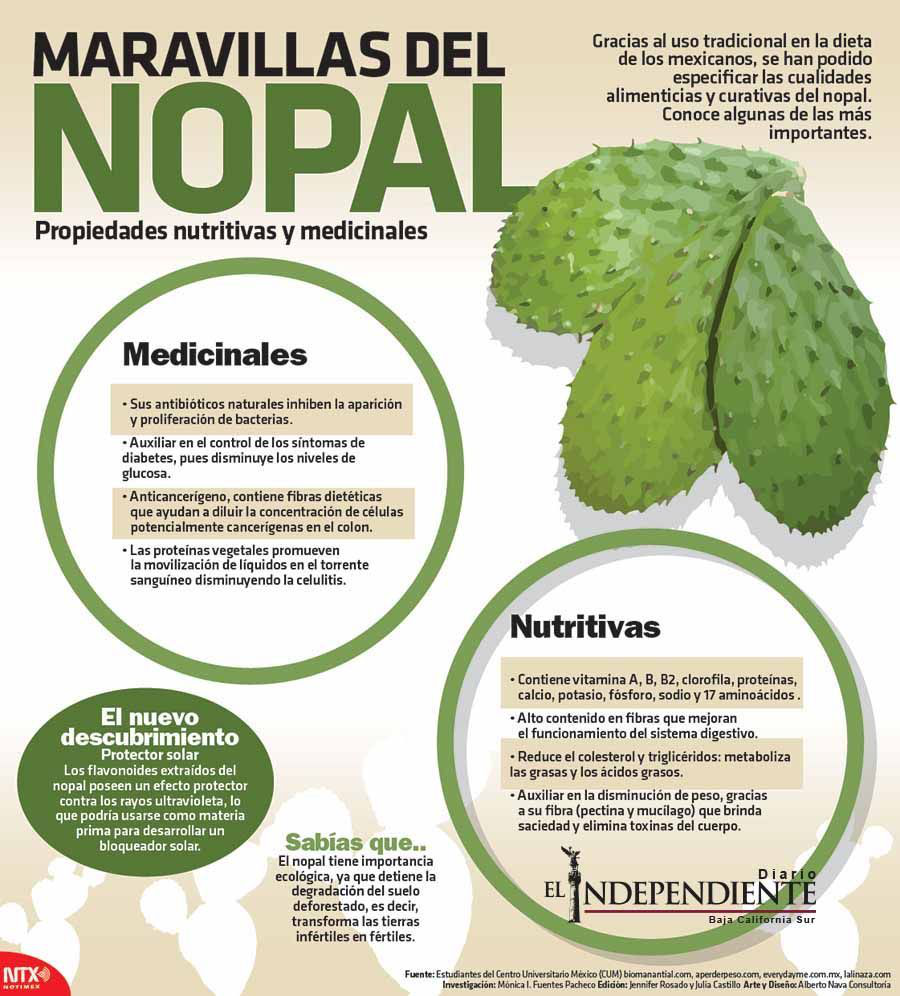 Maravillas del nopal 1