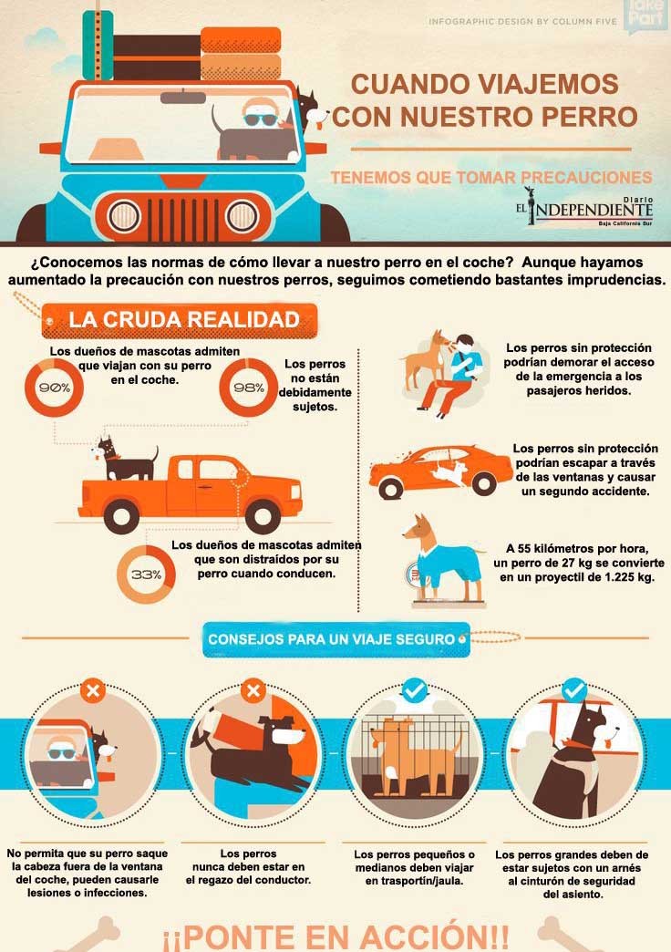 CUANDO VIAJAMOS CON NUESTRO PERRO