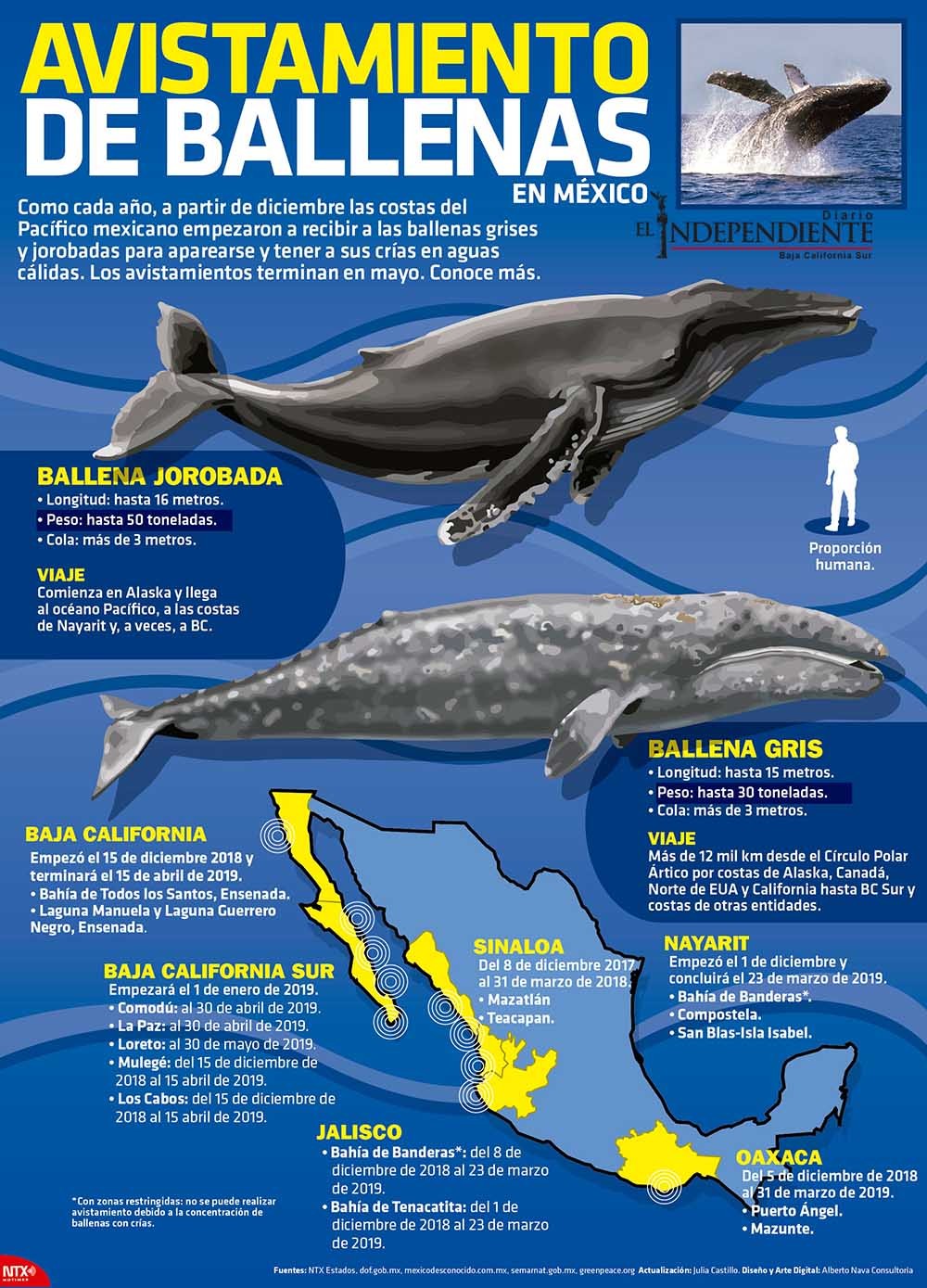Avistamiento de ballenas