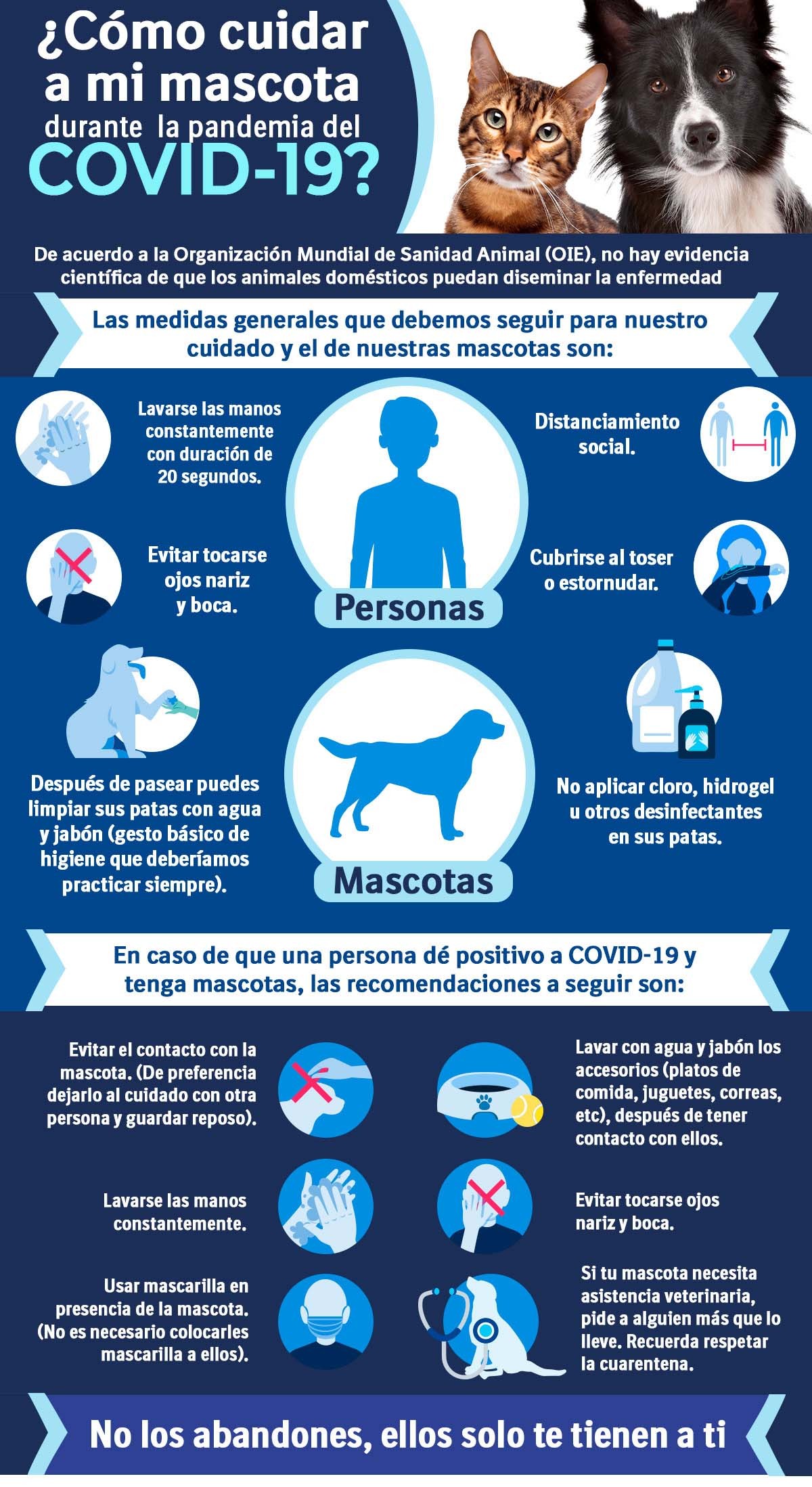 ¿Como cuidar a mi mascota en esta pandemia de covid19?
