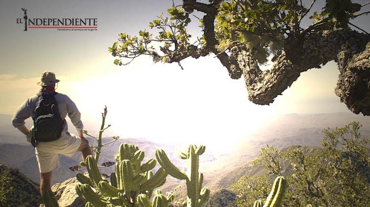 No están prohibidas, sino reguladas las actividades productivas en áreas protegidas: SEMARNAT