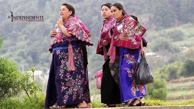 Acusan a mando de herir a indígena en Chiapas