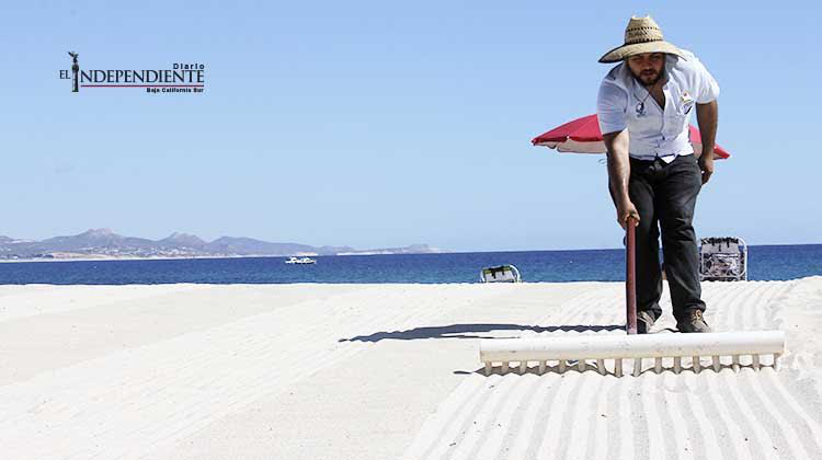 Por refrendar Los Cabos certificaciones Blue Flag para playas Palmilla, Chileno y Santa María