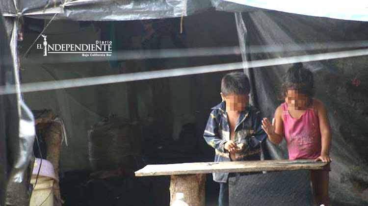 En México hay 4.7 millones de niños en pobreza extrema: Unicef