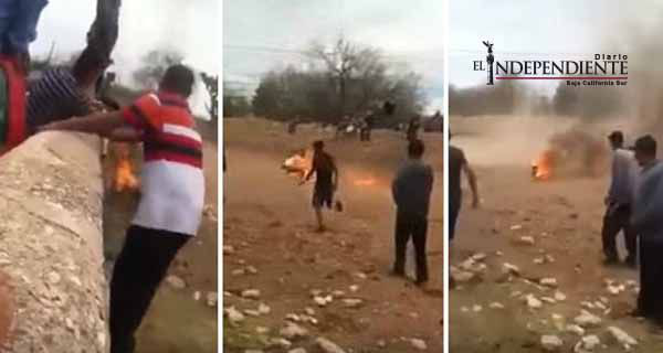 Prenden fuego a perro, lo graban y lo suben a redes sociales