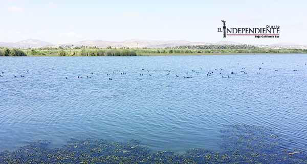 CC de Los Cabos apoyará el rescate del estero de SJC