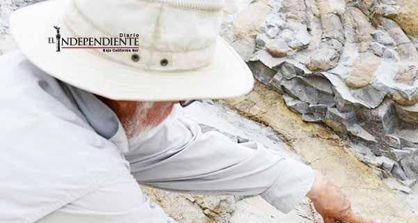 Descubren huellas de dinosaurio al noroeste de Sonora