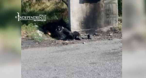 Asesinan a homosexual en carretera Monterrey-Saltillo