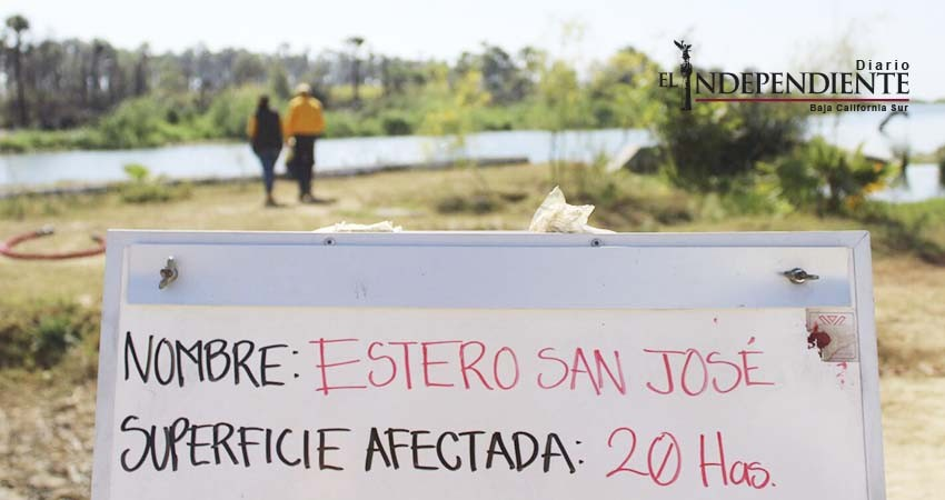 Afectadas 20 hectáreas por incendio en el Estero josefino: PC