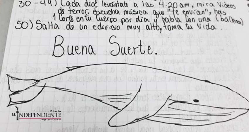 Piden a Policía Cibernética estar alerta al juego de la "Ballena Azul" 
