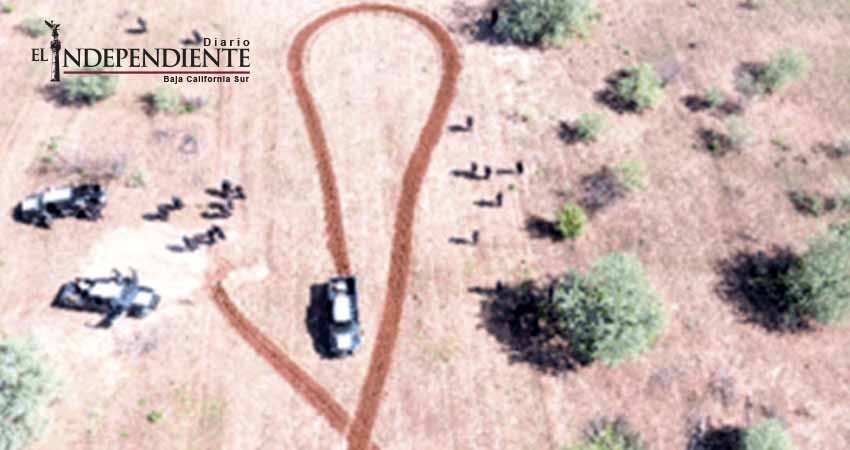 Policía Federal destruye plantío de mariguana en Sonora