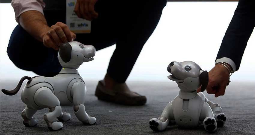 Sony relanza al adorable Aibo, la mascota robot