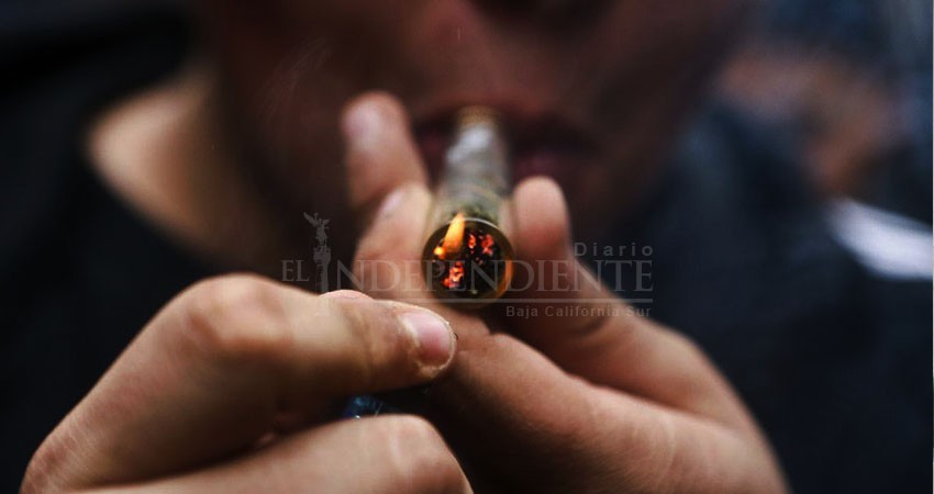 Secretaria de Turismo plantea legalizar marihuana en Baja California Sur y Quintana Roo
