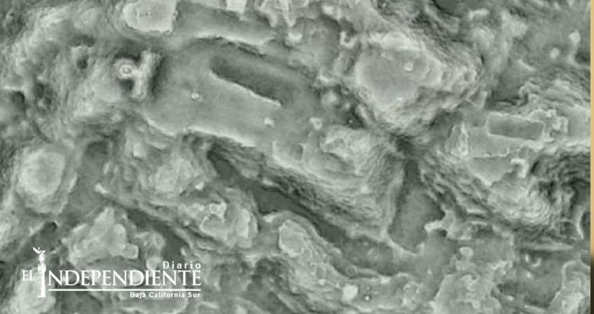 Descubren antigua ciudad purépecha tan grande como Manhattan