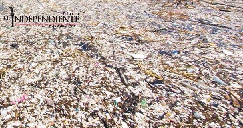 'Isla de plástico' del Pacífico, casi tan grande como México
