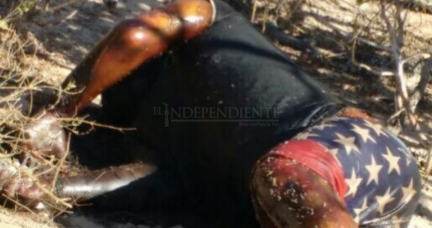 Localizan cadáver en descomposición en Cabo San Lucas