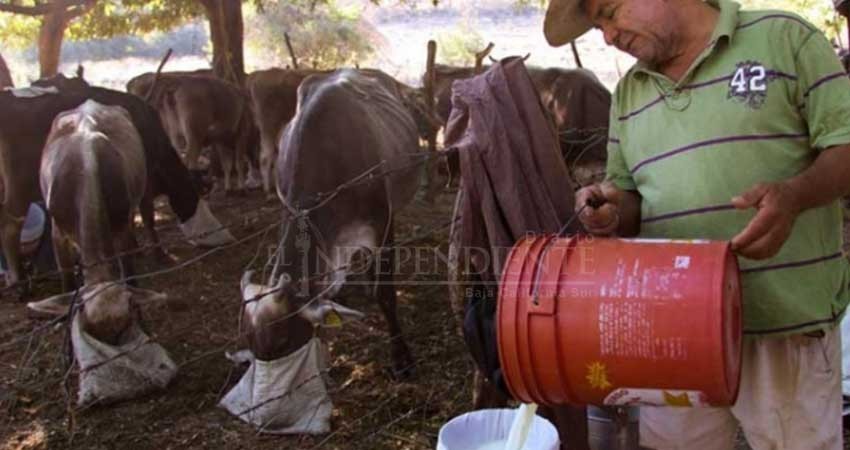 Con el apoyo de López Obrador, ganaderos quieren impulsar el campo
