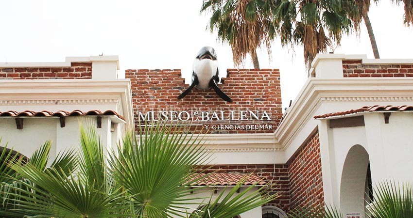 Museo de la ballena, primera víctima de gentrificación