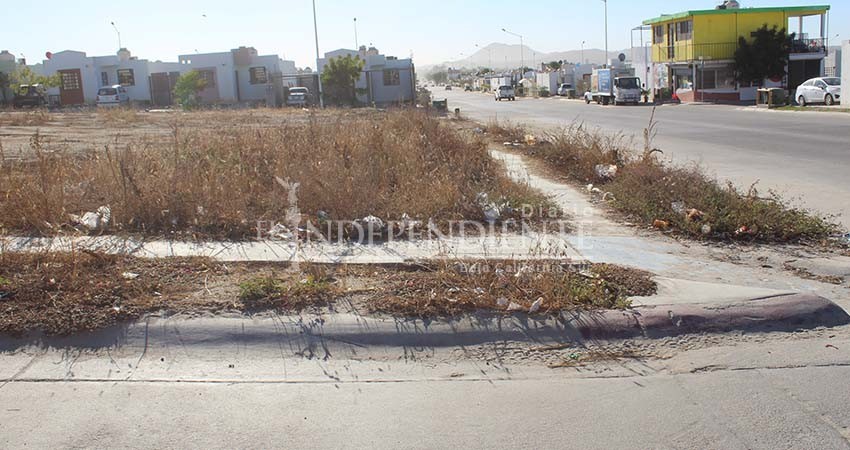 Periferia de colonia Altamira convertida en basurero de cacharros: Vecinos