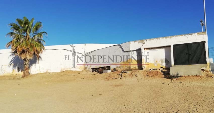 A medias la rehabilitación de pintura de la Unidad Deportiva Gastelum de CSL