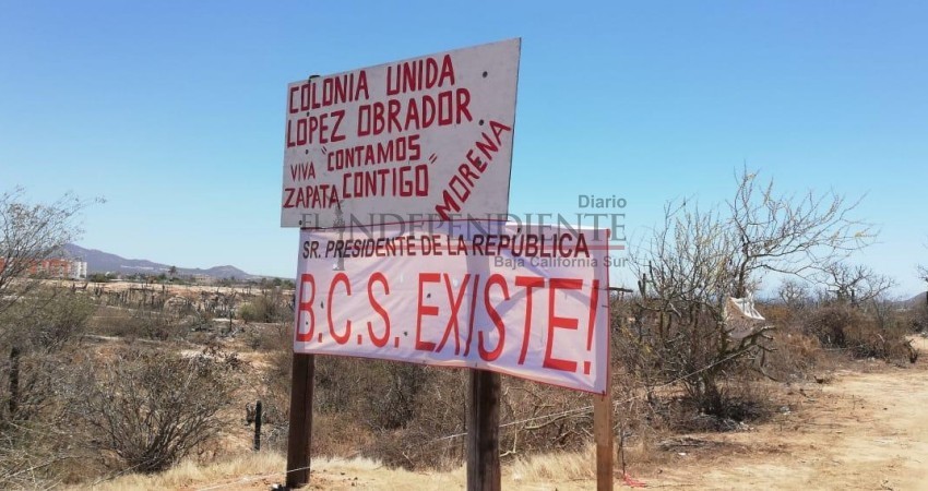 Con Armida Castro, nace invasión "López Obrador" en CSL