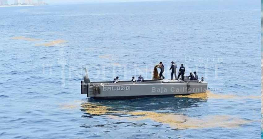 Por mar y aire realizan operativo para contener al sargazo