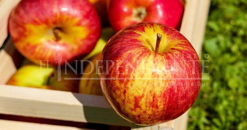 México también quita a EU aranceles a manzanas, papas...