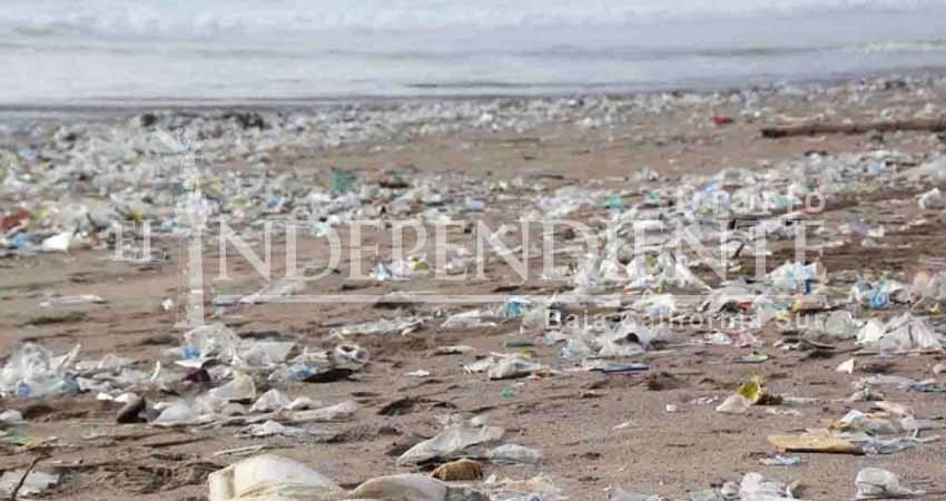 El 60 por ciento de las playas de EU están contaminadas