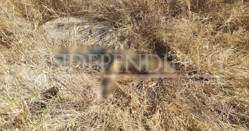 Localizan cuerpo en descomposición, esta vez dentro del Tec La Paz