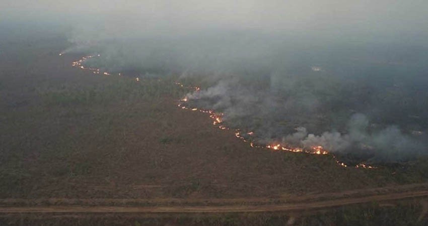 Arde la Amazonia sin control, con miles de incendios activos