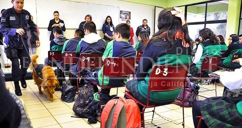 Renuentes padres de familia a la aplicación del Operativo Mochila, asegura asociación