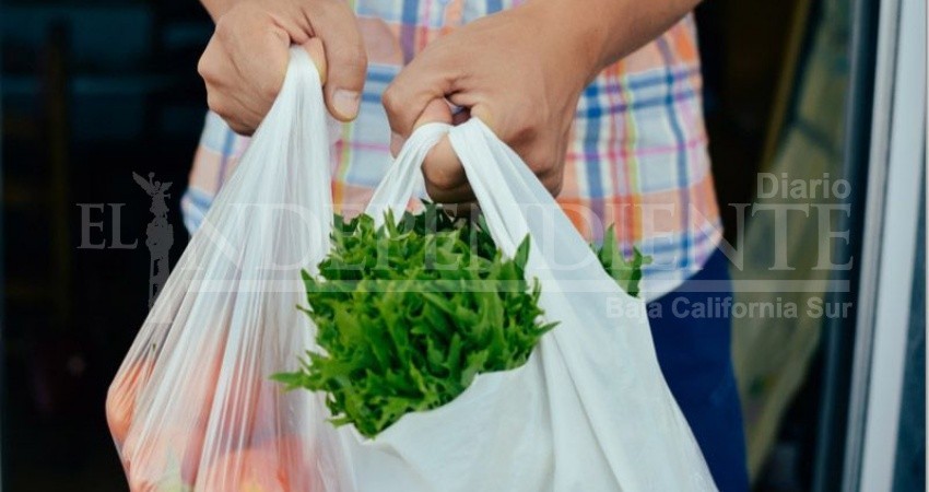 Se manifiestan restauranteros; piden no dar marcha atrás con la desplastificación de BCS