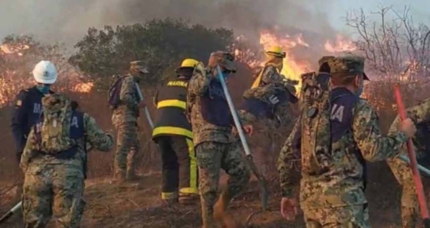 Confirman dos muertos por incendios forestales en Tecate