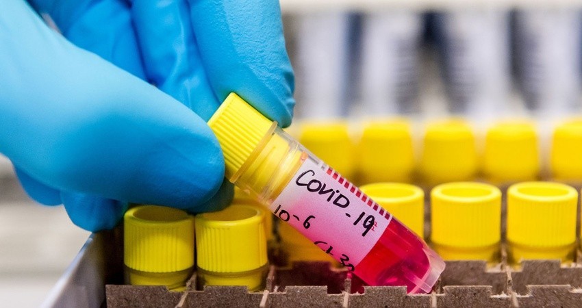 Aumenta a 203 casos de coronavirus en México