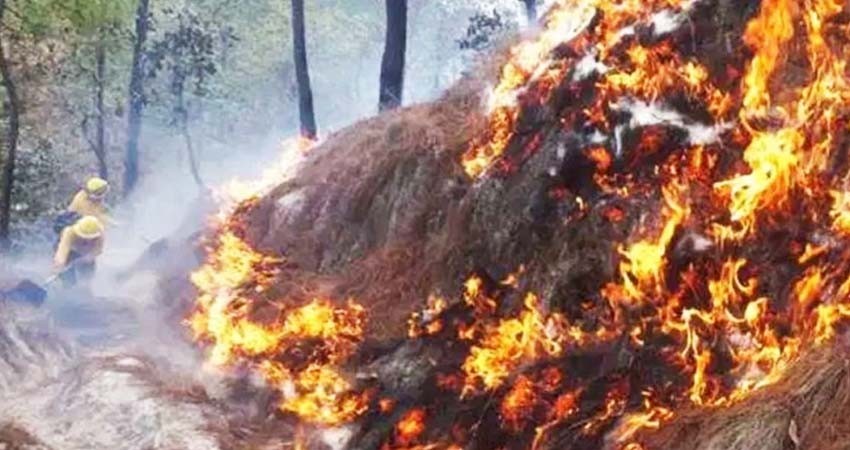 Incendios arrasan casi 6 mil hectáreas de bosque en Guatemala