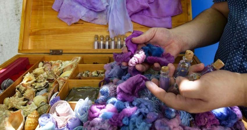 Un tunecino apasionado por la púrpura resucita al antiquísimo pigmento