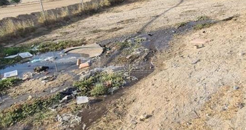 Pantanos de aguas negras en arroyo El Salto Seco