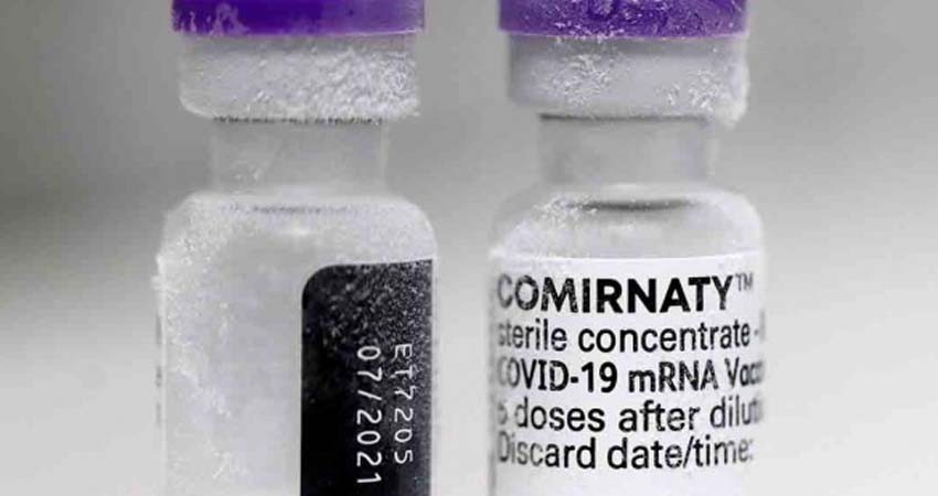 Vacuna covid de Pfizer genera 'fuerte' respuesta inmunitaria: estudio