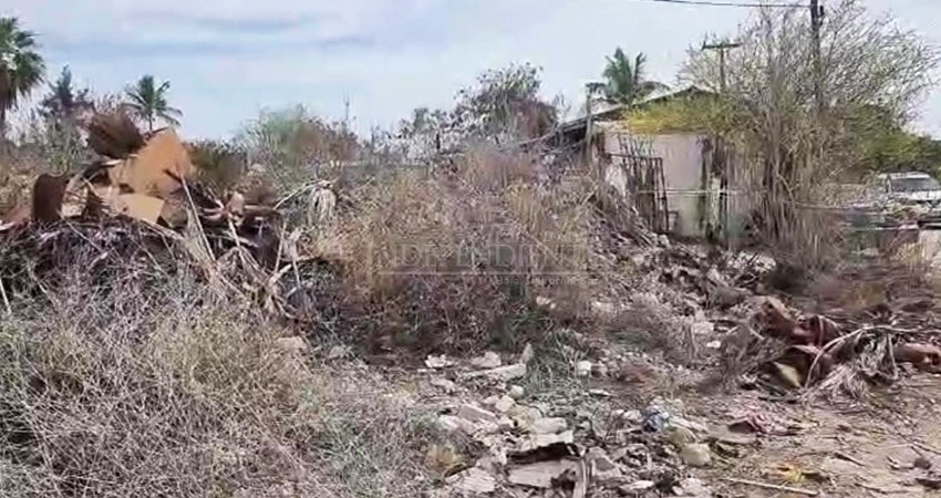 Un hombre en La Paz fue asesinado a machetazos