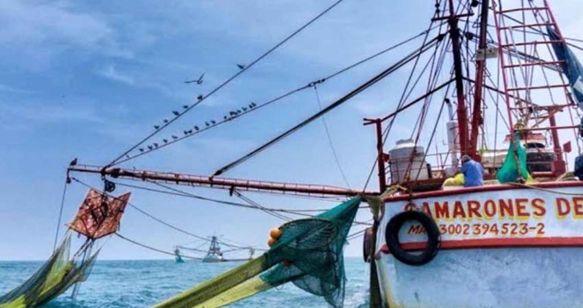 Embargo de EU contra camarón mexicano a partir de mayo