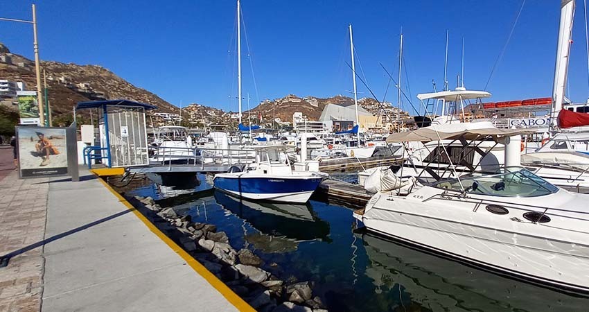 Mar de fondo afecta operaciones náuticas en CSL