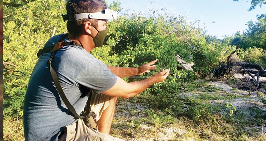 Estudiante de la UABCS recibe beca para certificarse como anillador científico de aves