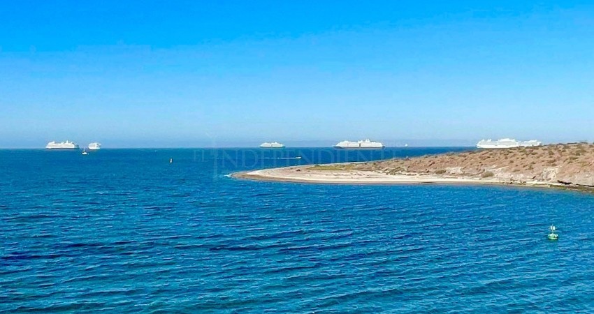 Bahia de La Paz no está contaminada, advierte Coepris