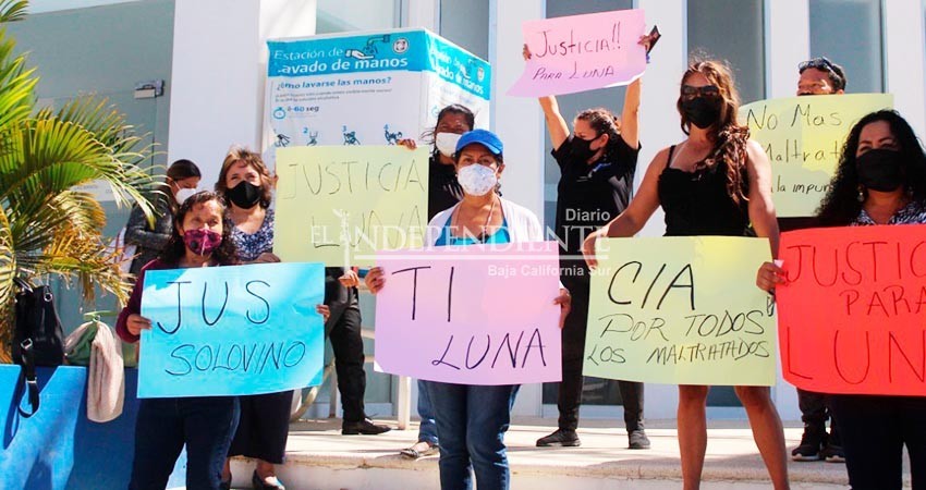 Hoy, primera audiencia en favor de la perrita “Luna”