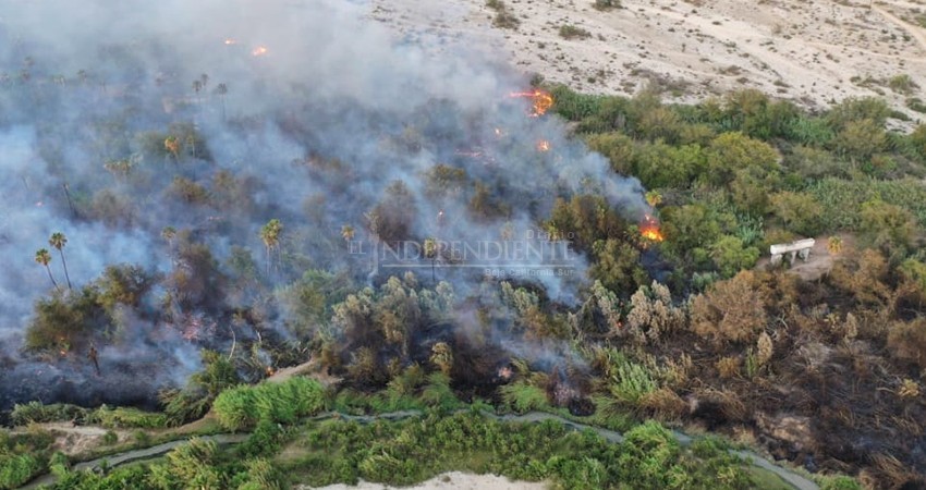 Aún se desconocen las causas del incendio en el Estero San José