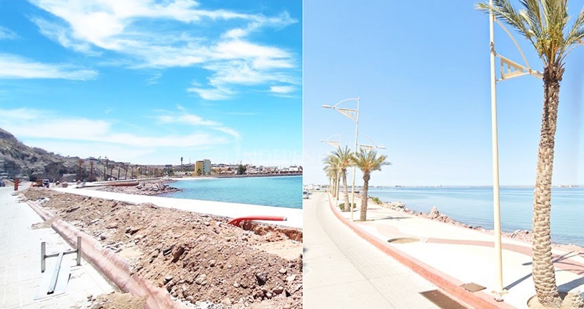 Remueven palmeras para ampliar ciclovía del malecón