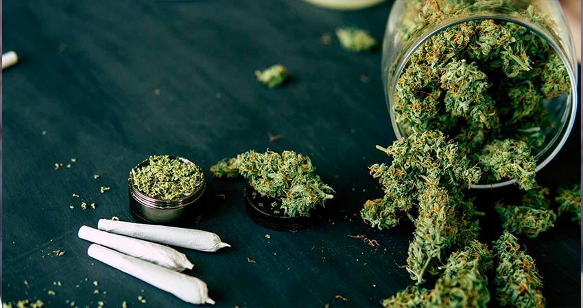 SCJN despenaliza el consumo de cannabis con fines recreativos