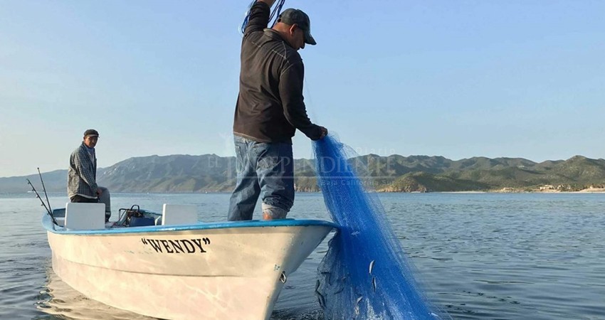 Denuncian sesgo en Bienpesca; no incluye a todos los productores: Ruth García