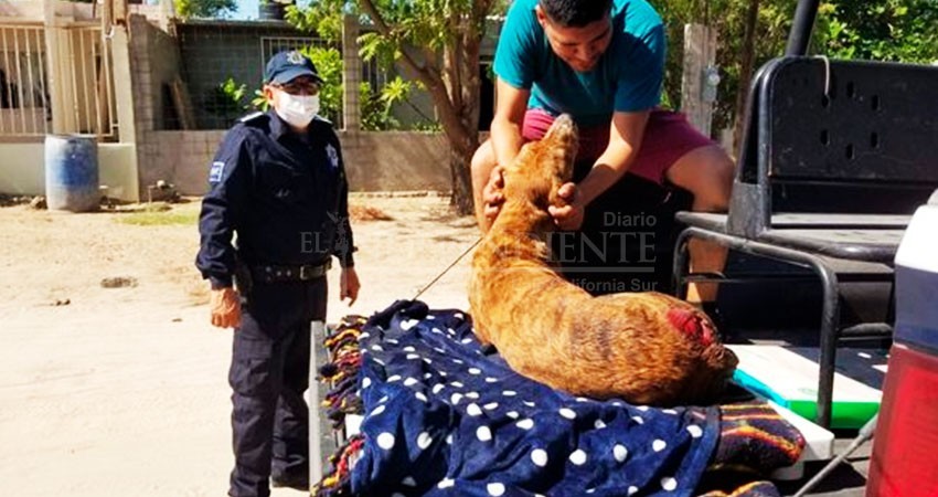 Proximidad Social; la cara amable de Seguridad Pública Municipal